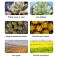 thumbnail image 3 of Board Plant Growth Light Succulent Potted Plant Light LED 216 Bead US Specifications Planting Light Greenhouse Plant Light, 3 of 6