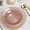 Dusty Rose, variant on BalsaCircle 20 Dusty Blue 7" Round Transparent Plastic Dinner Dessert Plates with Gold Rim Birthday Party Tableware Wedding Reception Home Catering Events Decorations Supplies