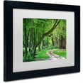 thumbnail image 2 of "Intimate Landscape" Canvas Art by Philippe Sainte-Laudy, White Matte, Black Frame, 2 of 4