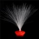 thumbnail image 4 of Cateissary Luz de noche de fibra óptica LED, lámpara cambiante de colores, decoración interior luminosa para vacaciones, centro de , regalos de Iluminación y accesorios, 4 of 6