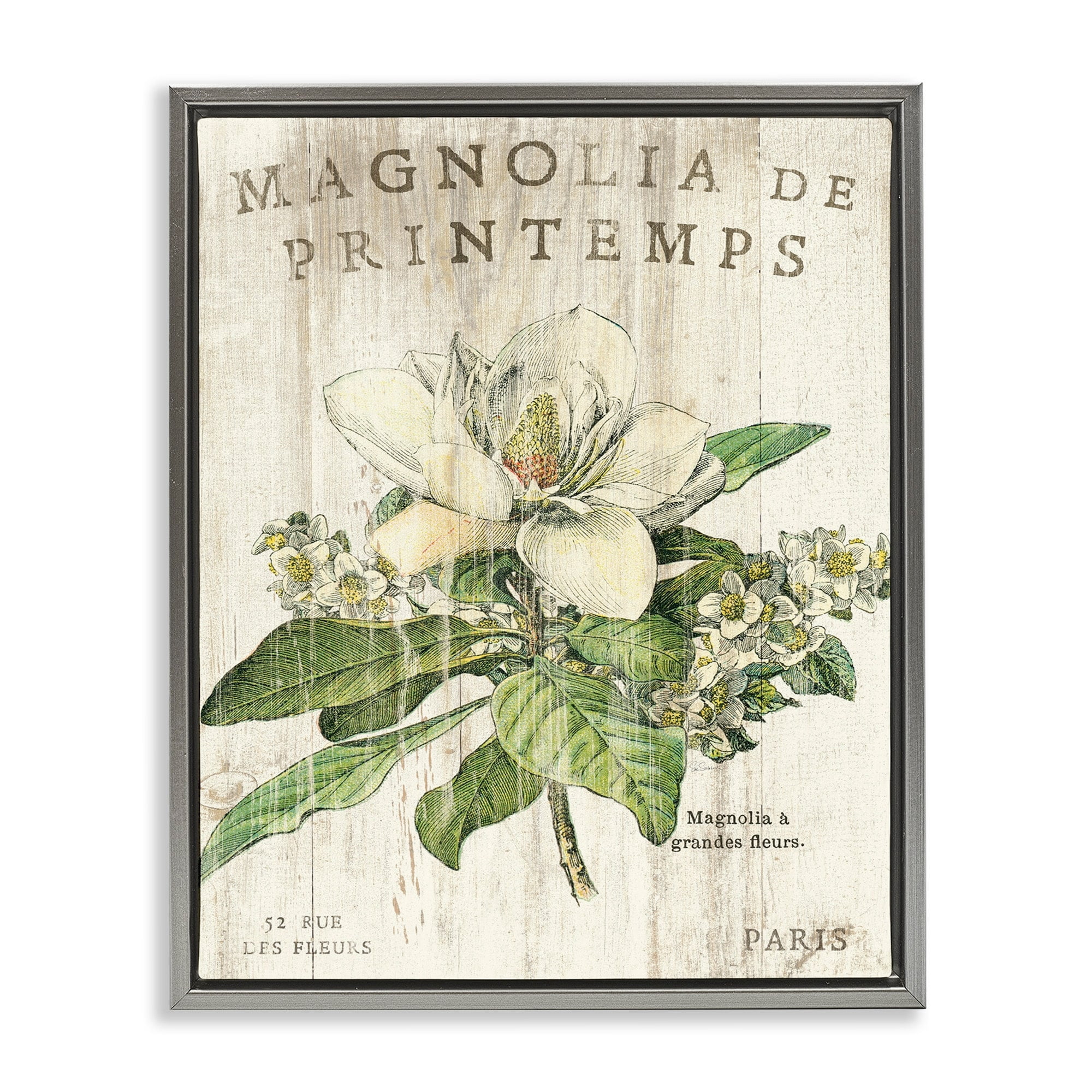 Stupell Industries French Magnolias In Spring Luster Gray Framed Floating Canvas Wall Art, 24x30, by Sue Schlabach