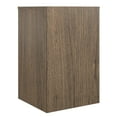 Ameriwood Home Canal 2 Drawer File Rustic Oak