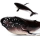 thumbnail image 4 of Simulación de animales marinos Vhermosa modelo de Tiburón Ballena Ballena jorobada Grande, 4 of 6