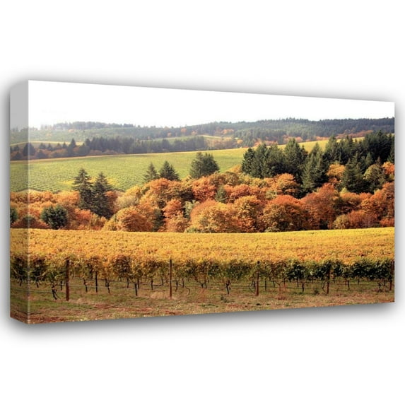 Maureen Love 44x31 Gallery Wrapped Canvas Wall Art Titled - Fall in Wine Country I