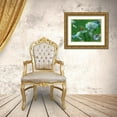 thumbnail image 3 of Fitzharris, Tim 24x19 Gold Ornate Wood Framed with Double Matting Museum Art Print Titled - Fly on forget-me-not, 3 of 4