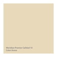 thumbnail image 2 of Pintura Meridian Premier 10 Años Arena 4 Litros, 2 of 3