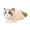 D, variant on 19.8 Inch- Ragdoll Cat Plush Stuffed Animal Toys -Realistic Kitten Plushies Soft Plush Toy Present Gift