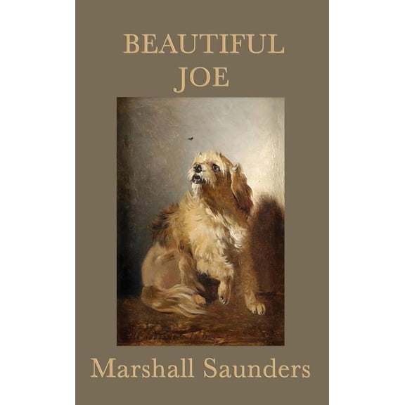 Beautiful Joe (Hardcover)