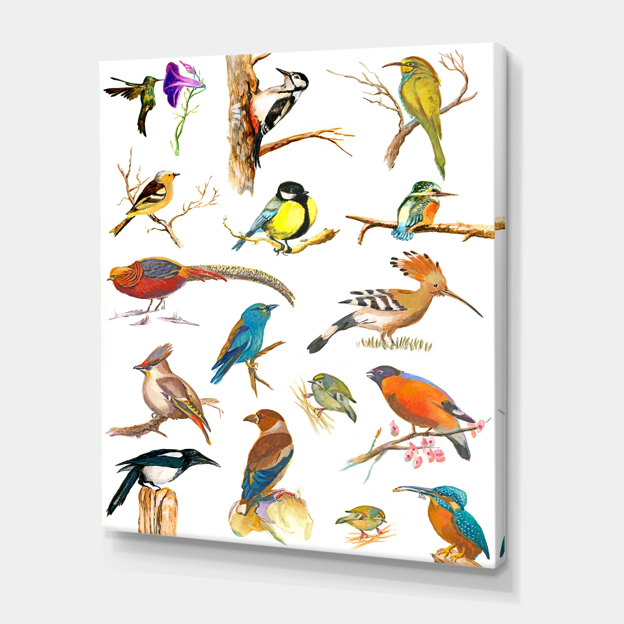 Designart ' Vital Colored Birds Plancard ' Traditional Canvas Wall Art Print