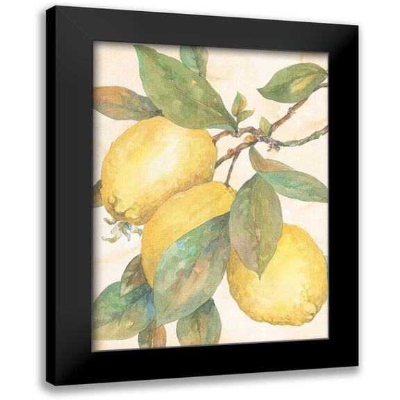 Unknown 11x14 Black Modern Framed Museum Art Print Titled - Hanging Lemons