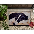 thumbnail image 3 of Carolines Treasures AMB1080JMAT Tapis d'Intérieur Ou d'Extérieur Border Collie - 24 x 36, 3 of 4