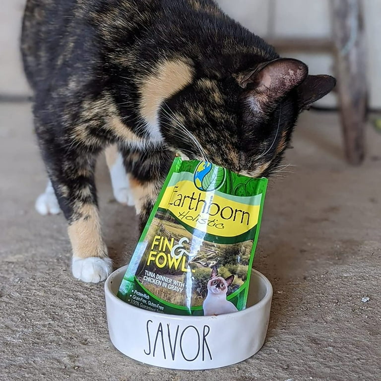 Earthborn cat food pouches cheap