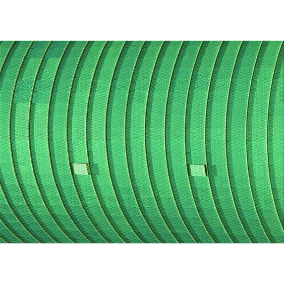 Ahgly Company Machine Washable Indoor Rectangle Transitional Neon Green Area Rugs, 8' x 12'