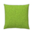 thumbnail image 1 of Ahgly Company Outdoor Square Contemporary Throw Pillow, 18 inch by 18 inch, 1 of 5