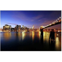 Trademark Art "That's the Way it is" Canvas Art by CATeyes