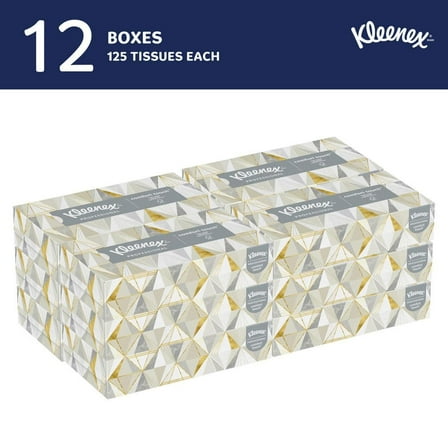 Professional Premium 2-Ply Facial Tissue (125 Sheets per Box, 12 Boxes per Case)