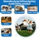 thumbnail image 2 of Pelotas para Perro Rohyu Indestructibles de E-TPU para Mordedores Agresivos, 2 of 8
