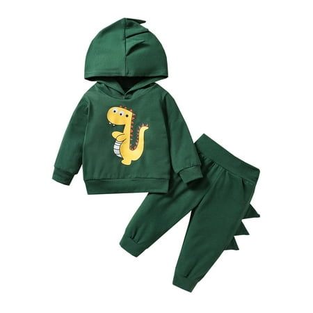 

Sunisery Toddler Baby Girls Boys 2Pcs Fall Outfits Funny Cartoon Dinosaur Print Long Sleeve Hoodies and Pants Set Green 0-6 Months