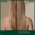 thumbnail image 4 of Sérum nocturno Aveda Botanical Repair Strengthening 30 ml, 4 of 8