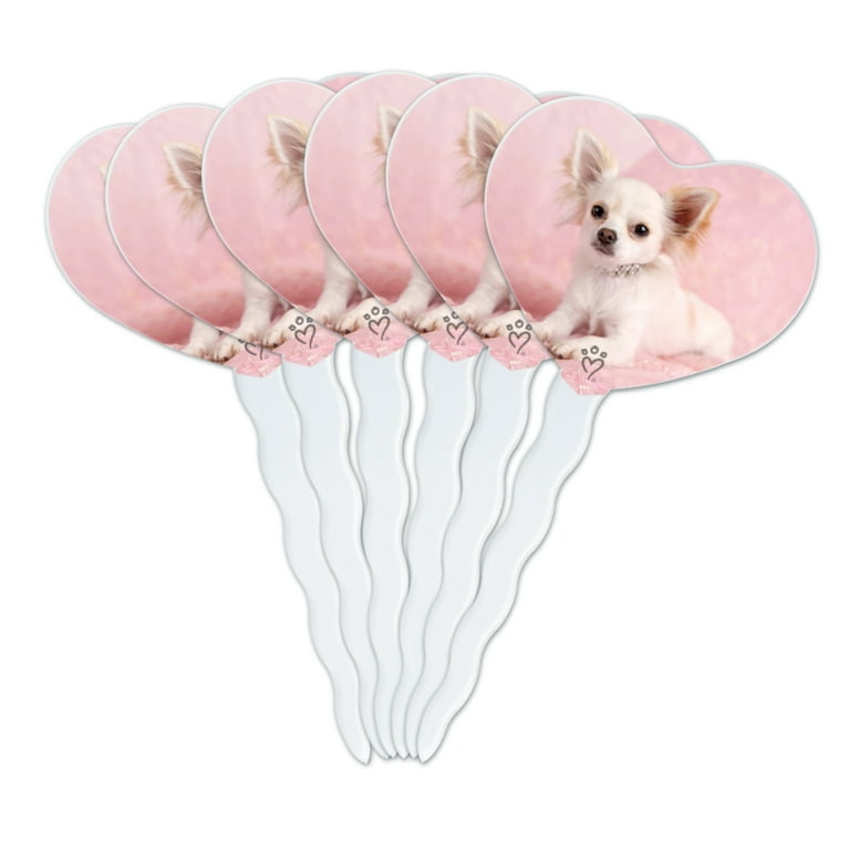 Cupcake chihuahua clearance