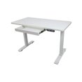 Motionwise Electric Height Adjustable Desk, Home Office Style, 24"x48