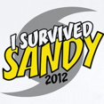 thumbnail image 2 of CafePress - I Survived SANDY Infant Bodysuit - Baby Light Bodysuit, Size Newborn - 24 Months, 2 of 4