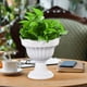 thumbnail image 5 of Juego de macetas de plástico para suculentas y miniplantas | Pack de 6 macetas pequeñas de resina para hierbas, potos y cactus | Decoración de escritorio para oficina, dormitorio o alféizar |, 5 of 9