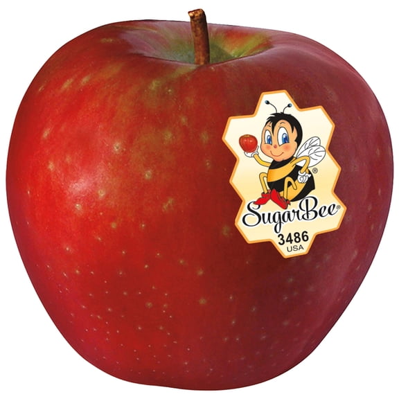 SugarBee® Apple, Bulk