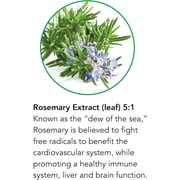 Botanic Choice Rosemary Leaf Extract, Alcohol and Gluten Free Herbal Supplement, 1 Fl Oz.