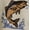 Fish, variant on Fish Intarsia Graphic Sweater, Men's Sizes XS-4XLT