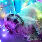Twinkly Curtain App-Controlled Smart 210 Multicolor RGB+W LED Christmas Lights