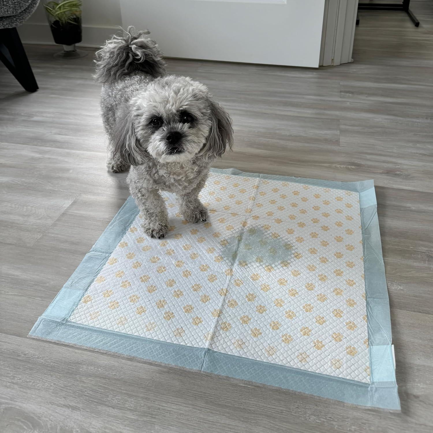 SPOT Dr. Bales Early Detection Health Monitoring Pee Pads 50 Pack for Dogs