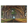 thumbnail image 3 of 21" x 14" Tunnel of Light by Lee Sie - Wall Art Print on Canvas Fabric White, 3 of 3