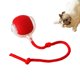 thumbnail image 1 of Rollie Pets, juguete Rollie Pet, juguete interactivo con forma de bola rodante para perros, juguete interactivo inteligente con forma de bola para mascotas, juguete rodante para gatos, bola, 1 of 7
