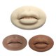 thumbnail image 5 of Eigraketly Práctica de maquillaje permanente en 3D, modelo de labios y boca, adhesivo portátil, piel reutilizable, enseñanza escolar, Material de laboratorio Marrón, 5 of 6