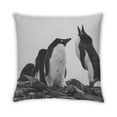 thumbnail image 2 of Ahgly Company Animals Penguin Coussin d'Intérieur, 18 Pouces par 18 Pouces, 2 of 6