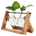 thumbnail image 3 of Hydroponic Vase Hanging Vase - Decorative Wooden Holder With Hydroponic Glass Vase Desktop Plant Terrarium Creative Glass Transparent Vase For Hydroponic Plants, 3 of 4