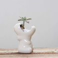 thumbnail image 4 of Planta suculenta Ot, Hippo Elefante Maceta Simple Interior Exterior Jardinería Creativa Maceta De Cerámica Creativa Hipopótamo Escritorio En Maceta Adornos. Afortunado Sencillez, 4 of 4