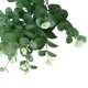 thumbnail image 5 of Flor artificial 4 ramas Flor falsa con hojas Oficina en casa Fiesta de bodas Decoración floral artificial, Verde kenally HA6518-02B, 5 of 6