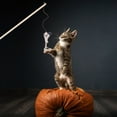 thumbnail image 2 of Halloween Themed Cat Wand Toy - Interactive Play & Exercise Tool for Cats, Festive Design to Keep Felines Entertained, 2 of 6