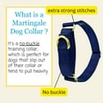 thumbnail image 4 of Country Brook Petz® Martingale Dog Collar - Training Collar with No Buckle (Navy Blue, Small), 4 of 7