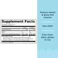 thumbnail image 2 of Proteína de colágeno en polvo Ancient Nutrition 24 dosis 8.6 onzas, 2 of 5