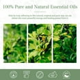 thumbnail image 6 of MAYJAM 30ml Camphor Essential Oils, Natural Camphor Oil for Diffuser, Face, Skin Care, Aromatherapy, Hair Care, Scalp and Body Massage, 6 of 7