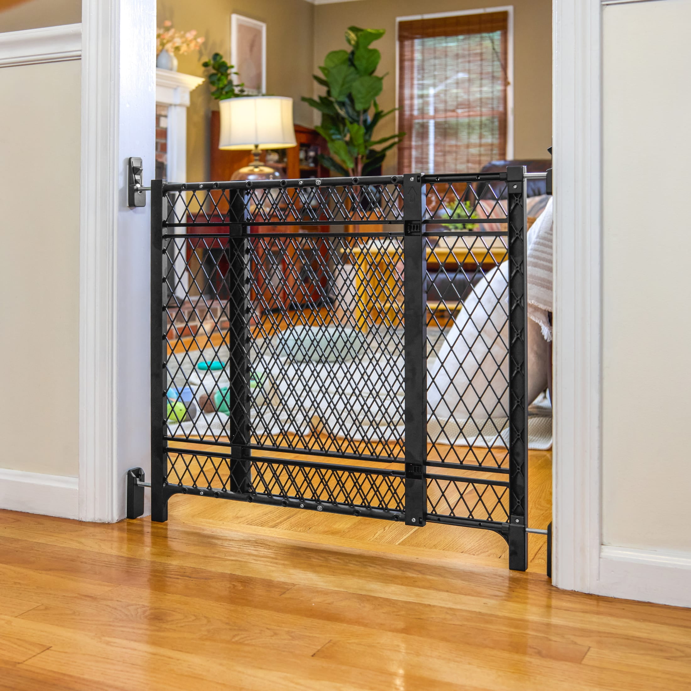 Ingenuity Doorway 42W Series Baby and Dog Gate, Fits 23-42" openings; 24” tall