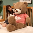 thumbnail image 4 of Oso de peluche de alta calidad, 4 colores, suéter de amor, animales de peluche, juguetes de peluche, muñeca, amantes, bebé, regalo de Navidad, 4 of 5