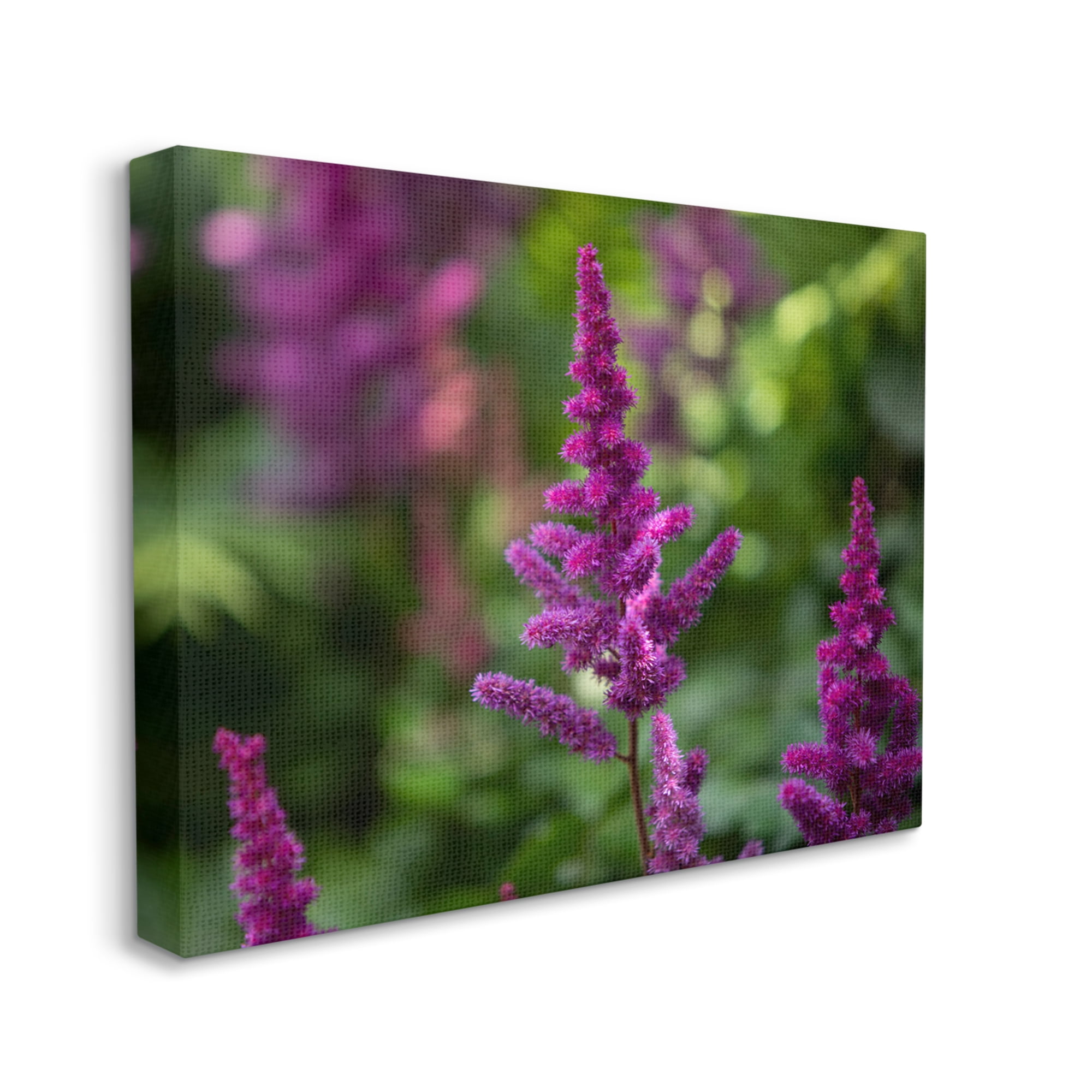 Stupell Industries Purple Flower in Nature Botanical & Floral Photography Gallery Wrapped Canvas Print Wall Art, 20 x 16