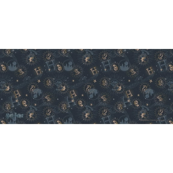 Harry Potter (Constellations) FilmPix™ Photo Insert