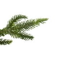 thumbnail image 4 of Northlight Pre-Lit Roosevelt Fir Artificial Christmas Wreath - 24-Inch, Warm White LED Lights, 4 of 5