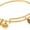 Gold, variant on Alex and Ani Feather Charm Bangle