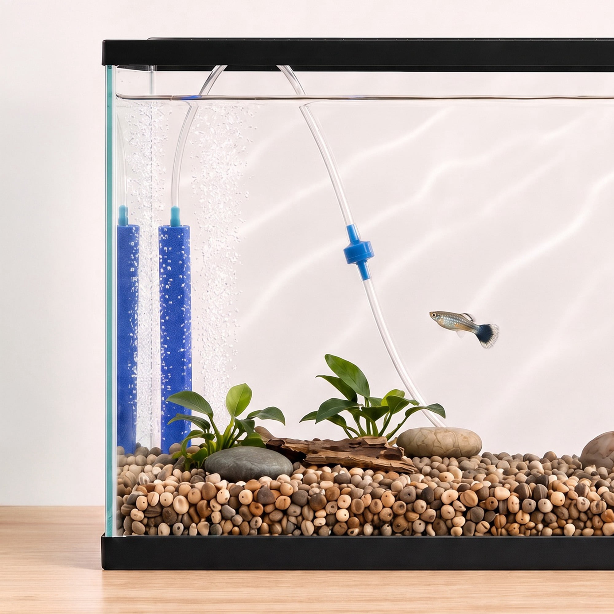Vibrant Life Medium Bubble Wall